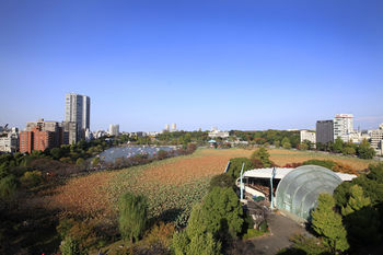 View from Hotel