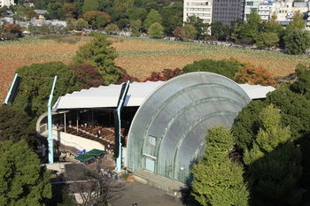 View from Hotel