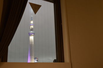 Guestroom View