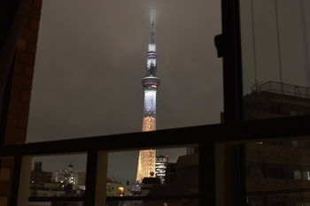 Guestroom View