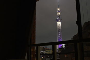 Guestroom View