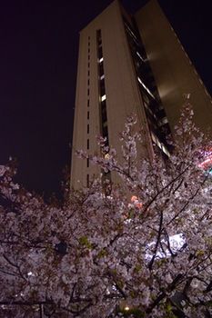 Hotel Front - Evening/Night