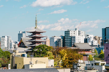 City View