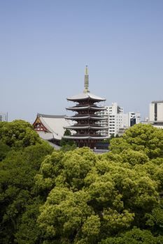 View from Hotel
