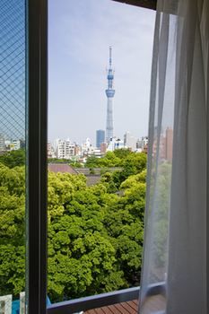 View from Hotel
