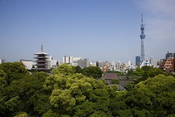 City View
