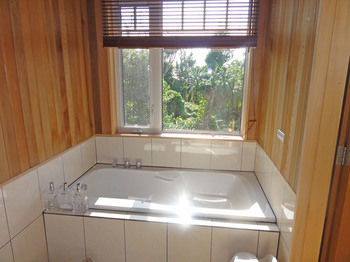 Jetted Tub