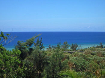 Beach/Ocean View