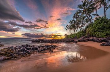 Beach/Ocean View