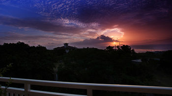 Guestroom View