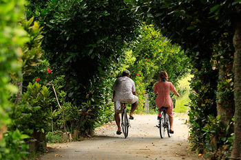 Bicycling