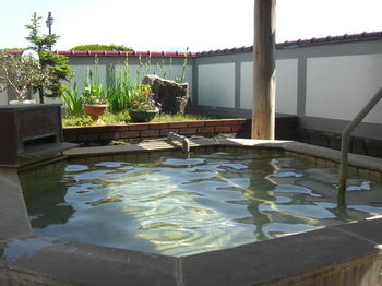 Natural Pool