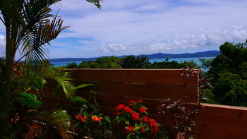 Guestroom View