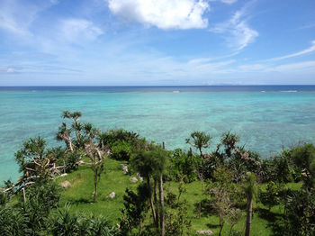 Beach/Ocean View