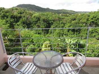 Guestroom View