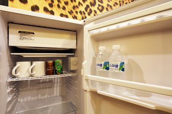 Mini-Refrigerator