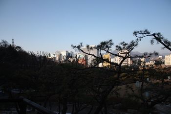 City View