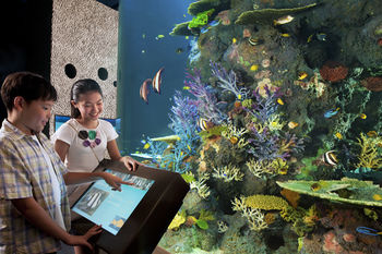 Aqua Center