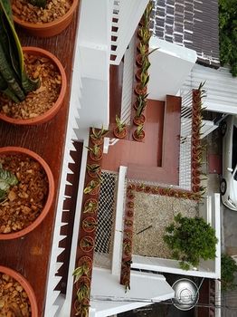Guestroom View