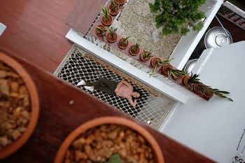 Guestroom View