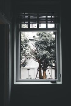 Guestroom View