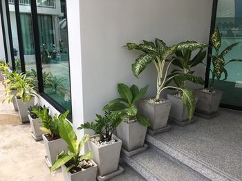 Hotel Entrance