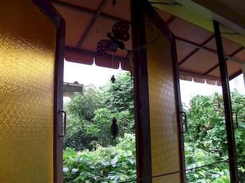 View from Hotel