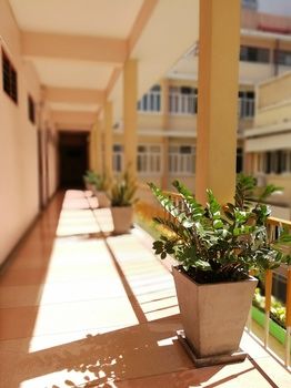 Hallway