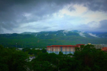 View from Hotel