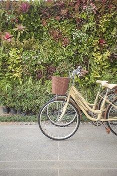 Bicycling