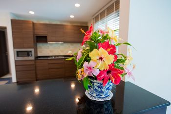 In-Room Kitchen