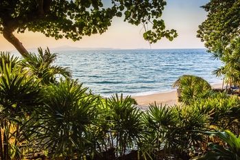 Beach/Ocean View