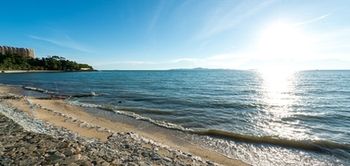 Beach/Ocean View