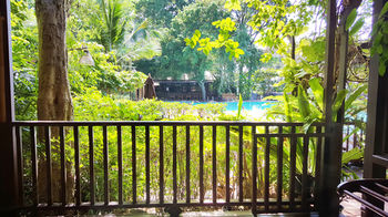 Guestroom View
