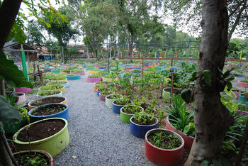 Garden