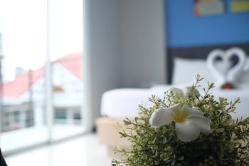 Guestroom View