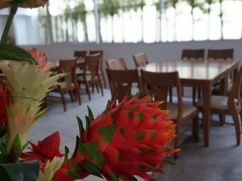 Food Court