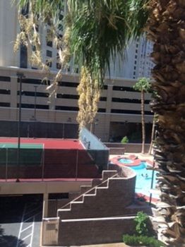View from Hotel