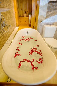 Deep Soaking Bathtub