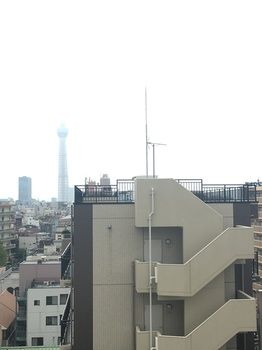 Guestroom View