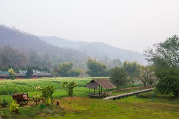View from Hotel